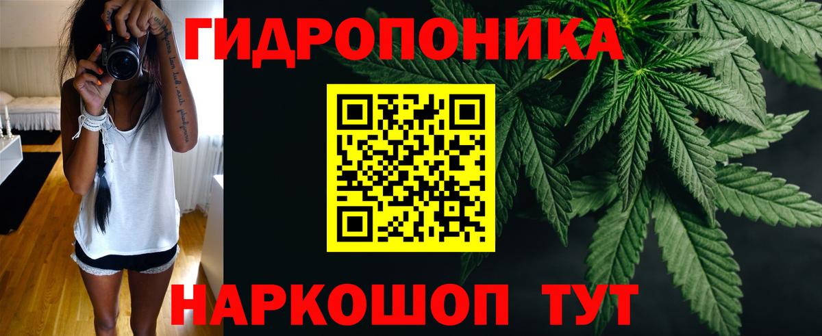 Канабис OG Kush  Бошки Шишки семена  МАРИХУАНА SATIVA & INDICA  Мытищи  Вход с VPN 